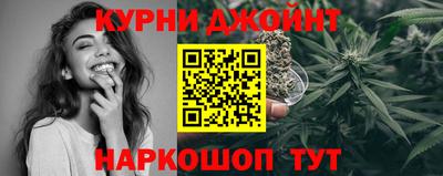 шишки Славгород