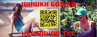 шишки Славгород