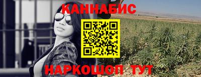 шишки Славгород