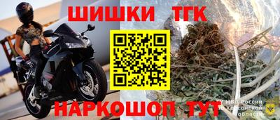 шишки Славгород