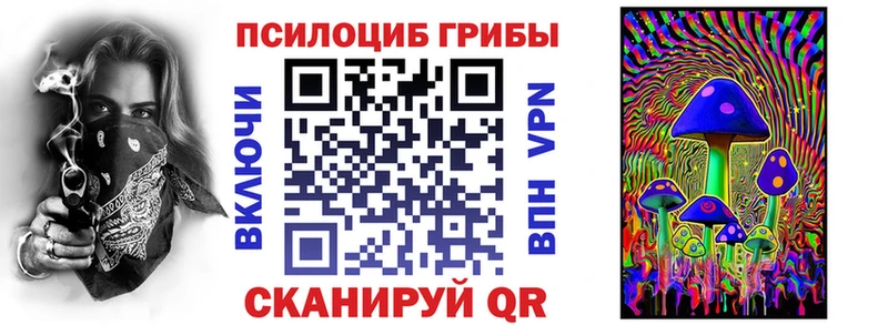 как найти закладки  Челябинск  Галлюциногенные грибы Psilocybe 