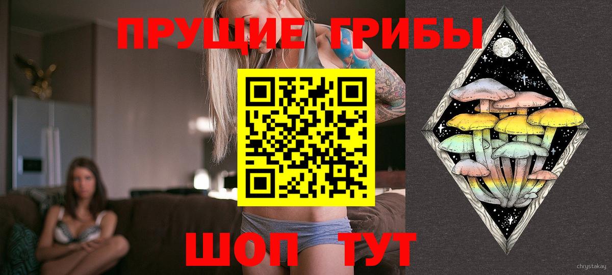 Псилоцибиновые грибы Psilocybe Челябинск